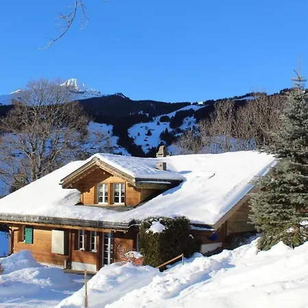 Herrschaft 4 Bett Lejlighed Grindelwald